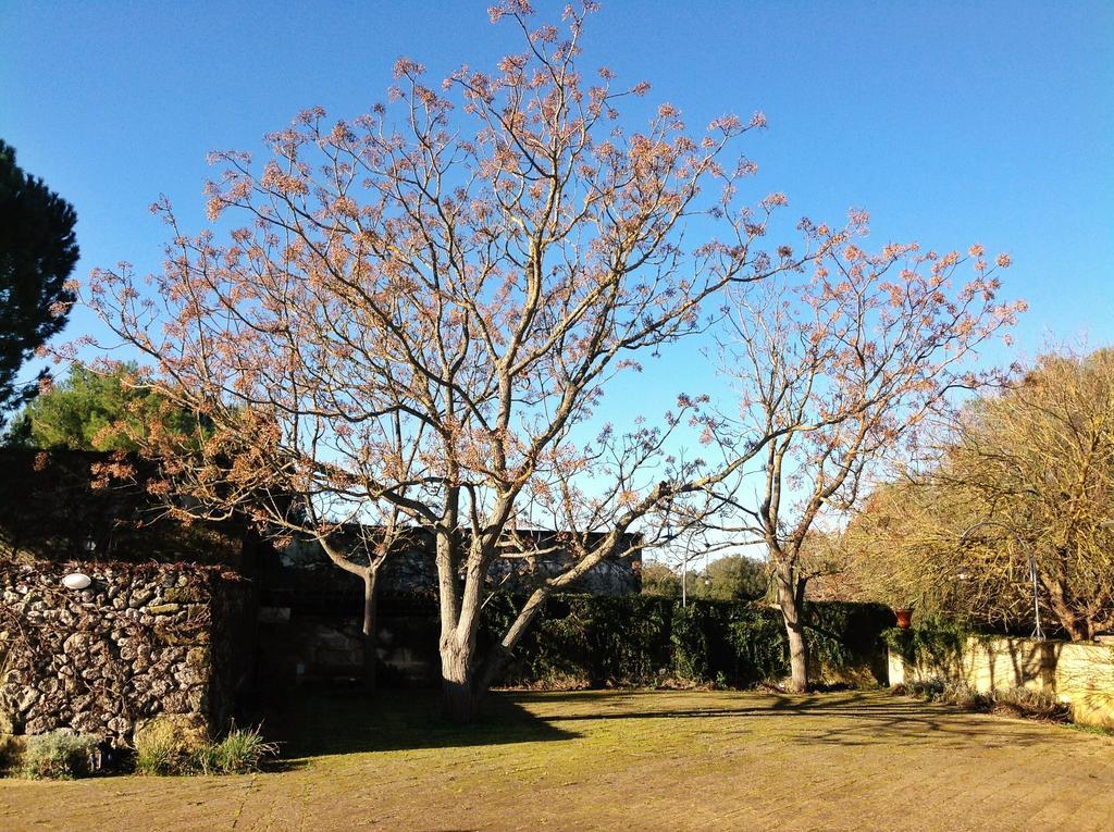 Tenuta Sant'Andrea Giuggianello المظهر الخارجي الصورة
