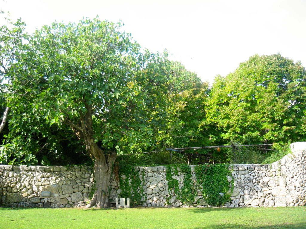 Tenuta Sant'Andrea Giuggianello المظهر الخارجي الصورة